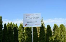 Zagospodarowanie terenu remizy OSP w Bledzewie