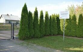 Zagospodarowanie terenu remizy OSP w Bledzewie