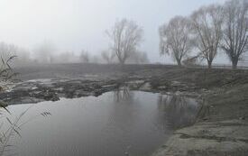 Renowacja stawu w miejscowości Białyszewo