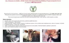INFORMACJA GŁ&Oacute;WNEGO LEKARZA WETERYNARII NA TEMAT PRYSZCZYCY 2