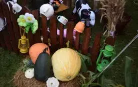 XIV DOŻYNKI GMINY SIERPC  13