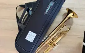 Młodzieżowa Orkiestra Dęta OSP Goleszyn z nowymi instrumentami!  8