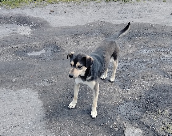 IMG20230428113035_&mdash;_kopia