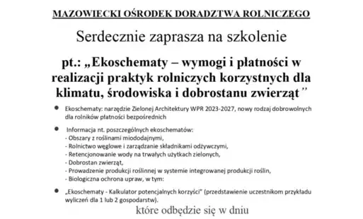 Zdjęcie artykułu z dnia 13-05-2025