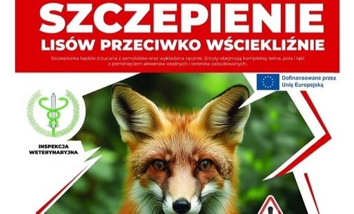 Szczepienie lisów przeciwko wściekliźnie 10-16 września 2026 r.