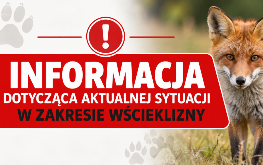 Gmina Sierpc informuje o sytuacji epidemiologicznej w zakresie wścieklizny u zwierząt wolnożyjących
